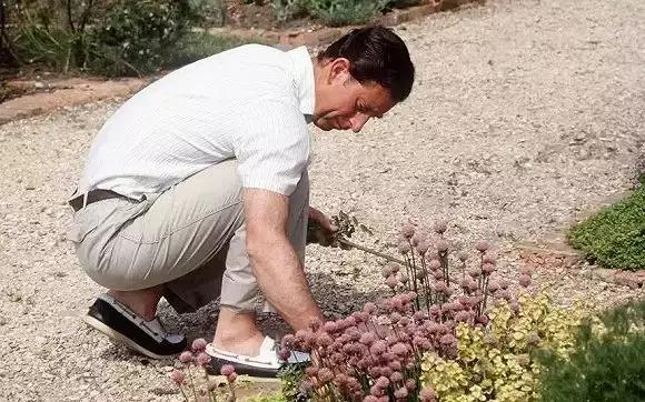 待位64年的王子,花30年将450万㎡荒地打造成世界最美庄园