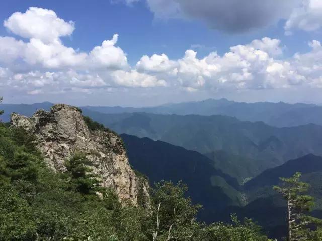 城南客运站旅游直通车,西安城南旅游班线
