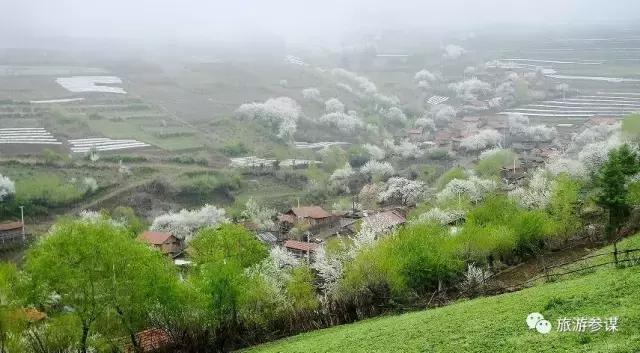 吉林省抚松县氡泉民宿,吉林省民宿旅游景点推荐