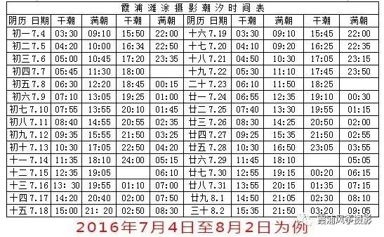 国际滩涂摄影胜地霞浦,霞浦滩涂摄影图片大全