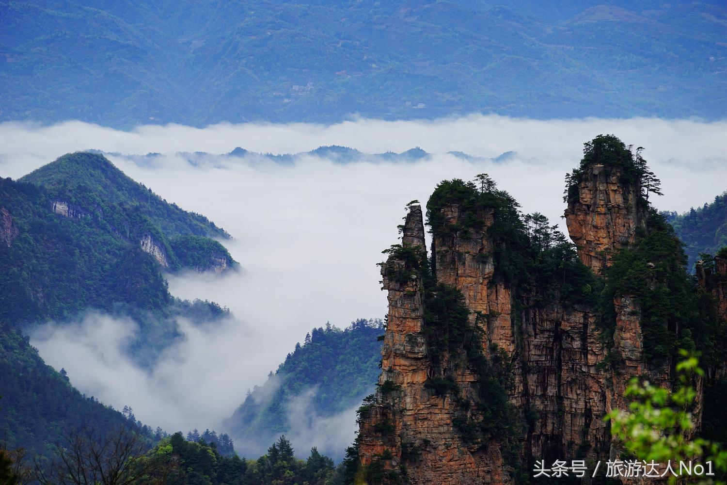 游记张家界8天旅游详细攻略,张家界天门山森林公园美景游记