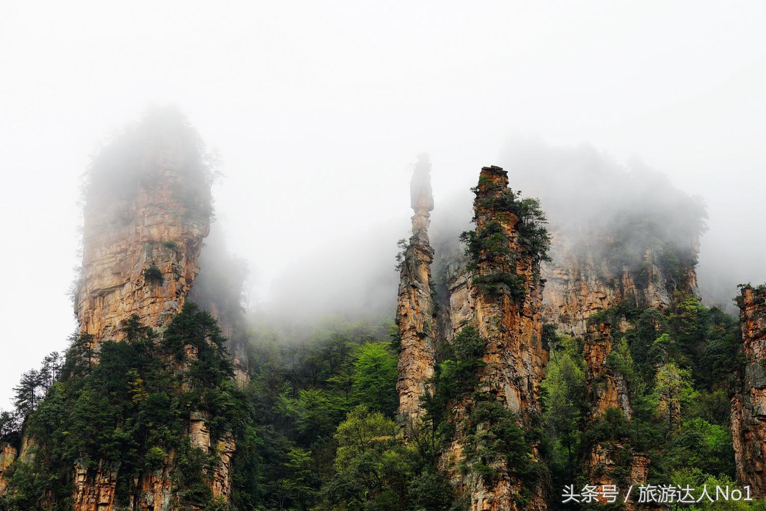 游记张家界8天旅游详细攻略,张家界天门山森林公园美景游记