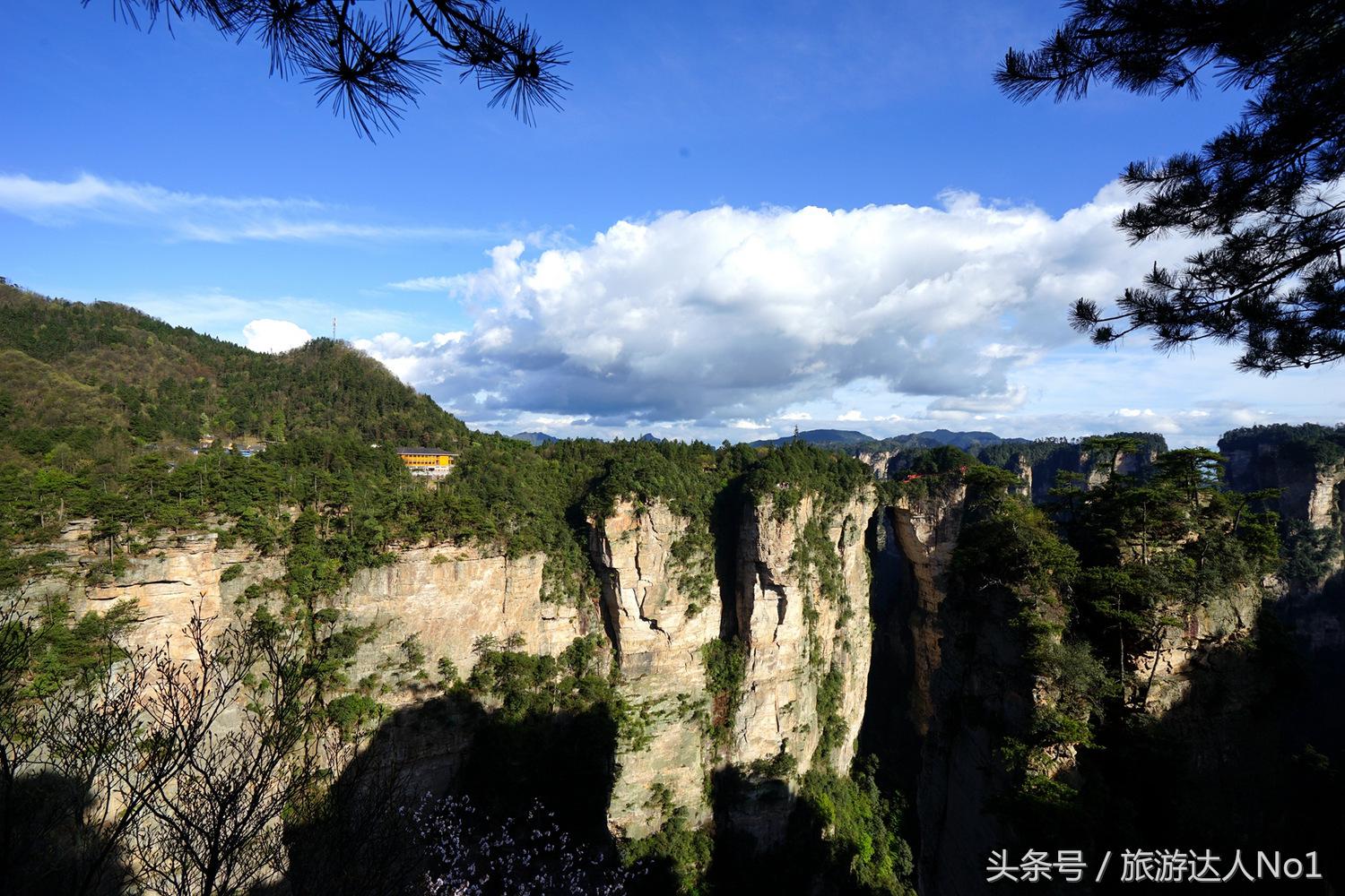 游记张家界8天旅游详细攻略,张家界天门山森林公园美景游记