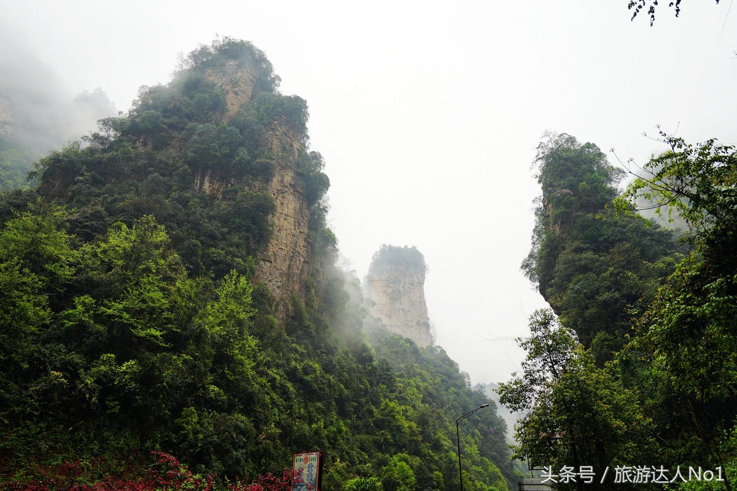 游记张家界8天旅游详细攻略,张家界天门山森林公园美景游记
