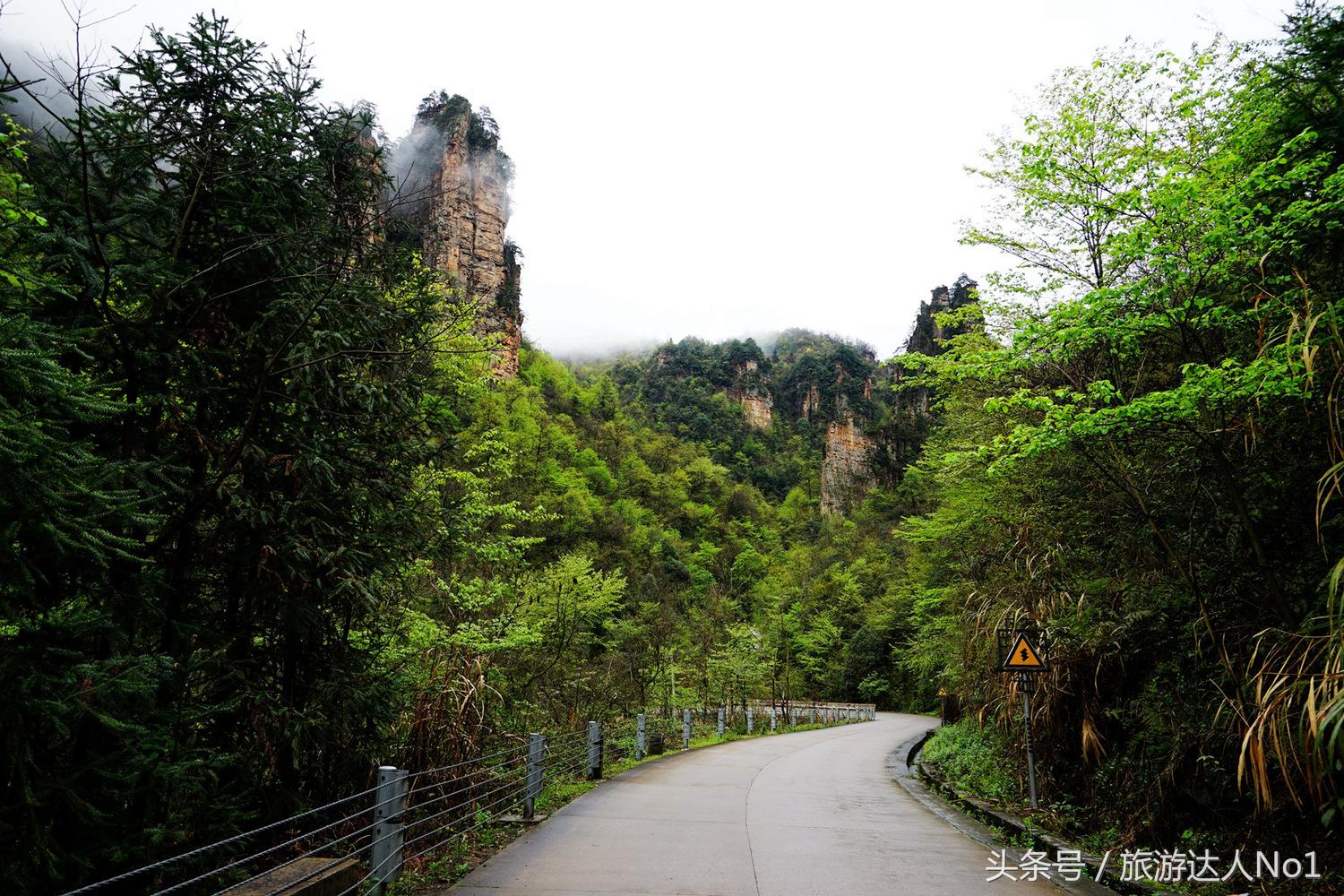 游记张家界8天旅游详细攻略,张家界天门山森林公园美景游记