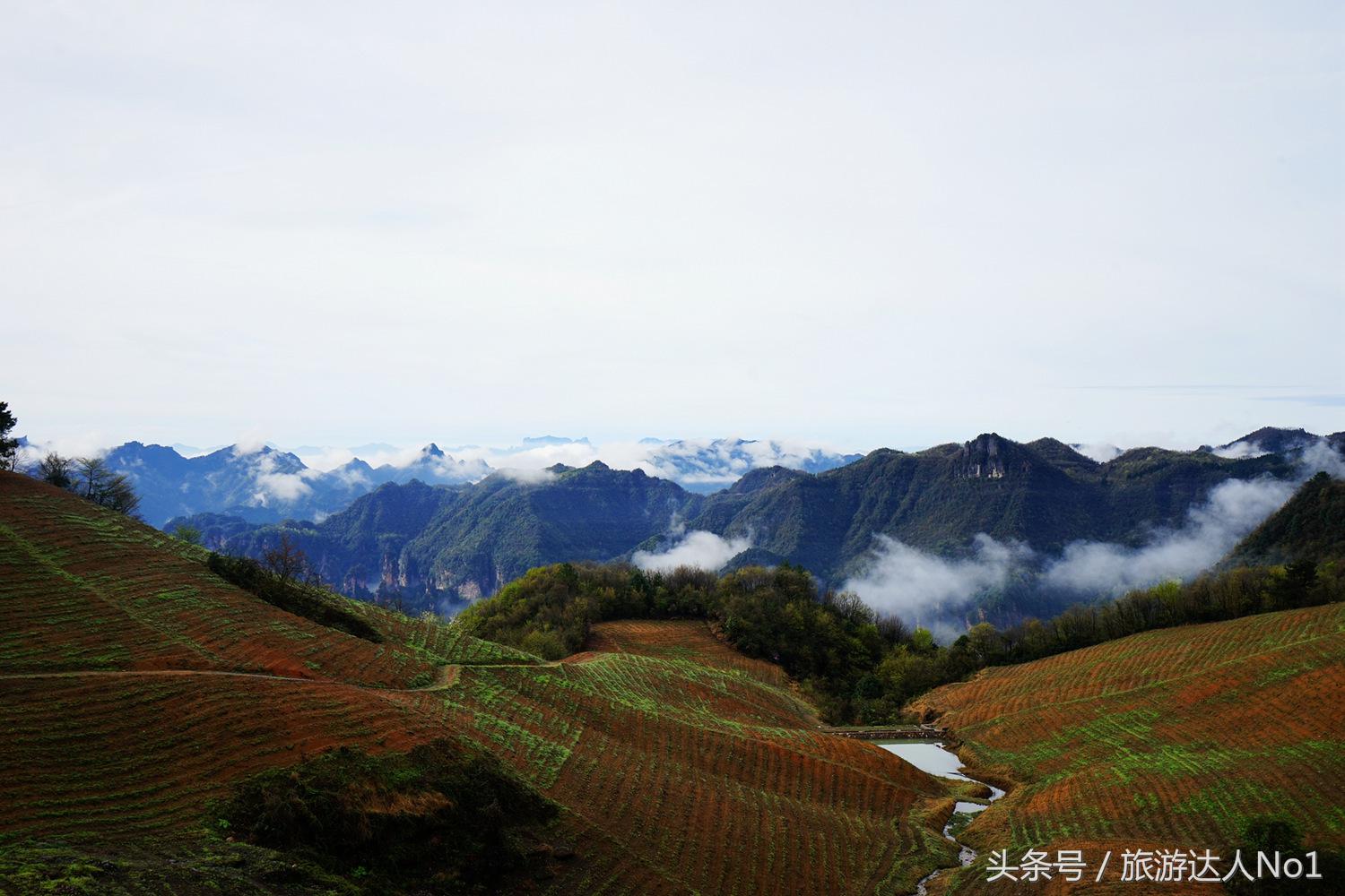 游记张家界8天旅游详细攻略,张家界天门山森林公园美景游记