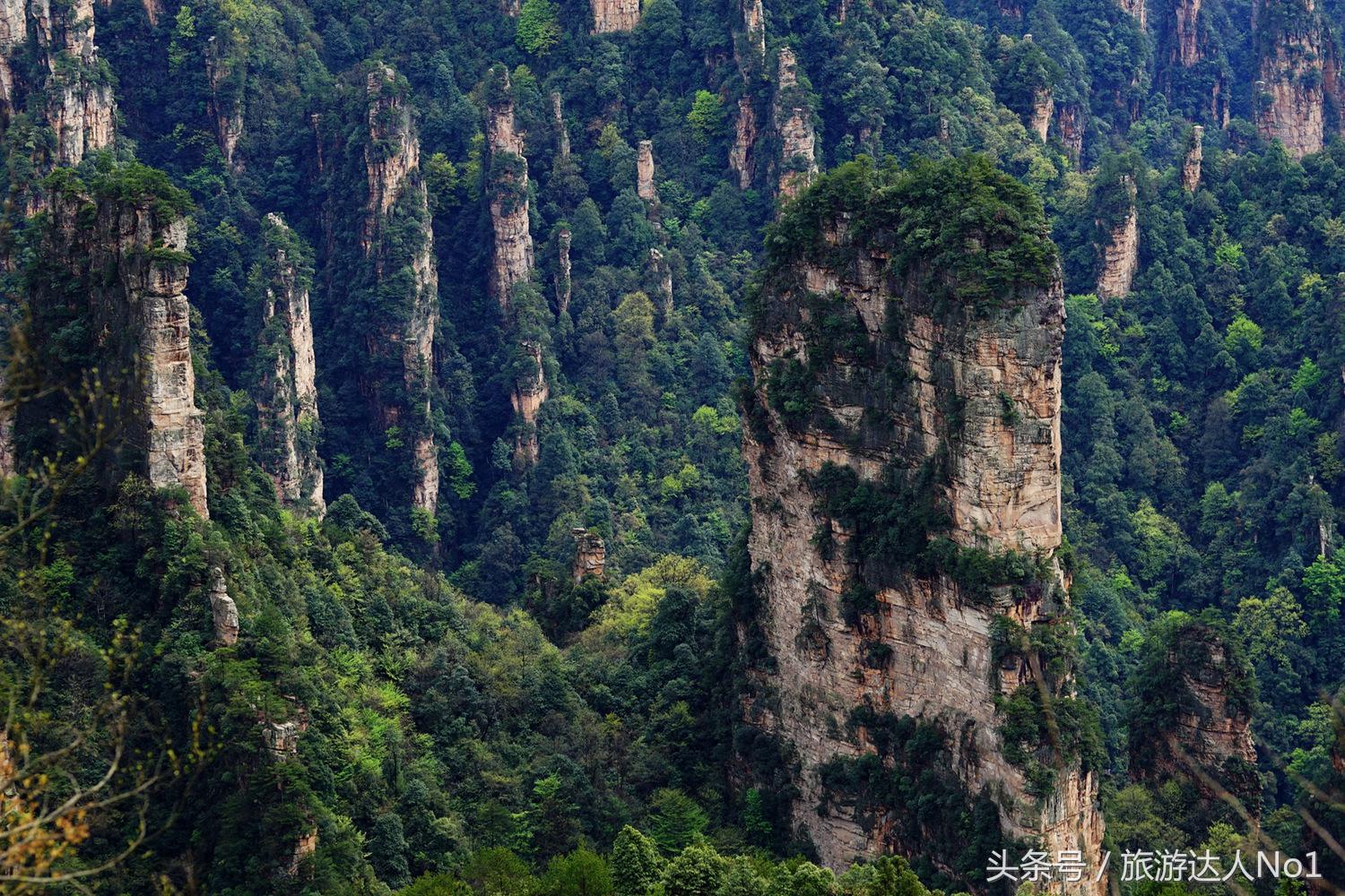 游记张家界8天旅游详细攻略,张家界天门山森林公园美景游记