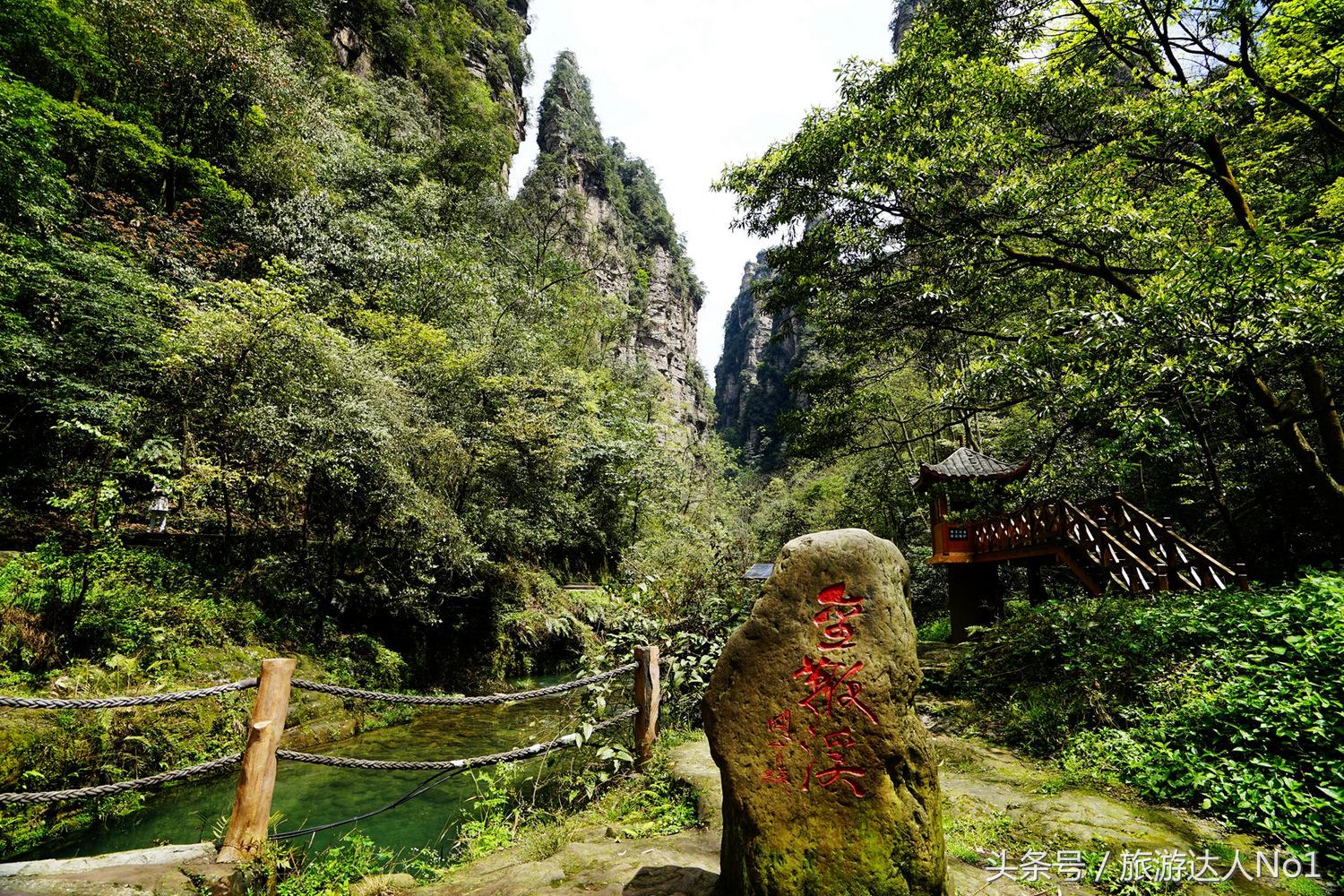 游记张家界8天旅游详细攻略,张家界天门山森林公园美景游记