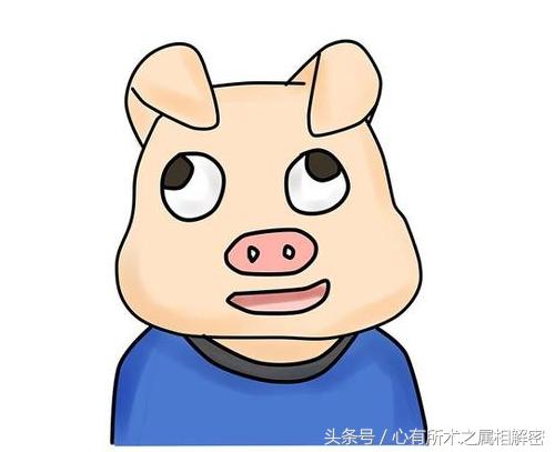 生肖五行速记,生肖命理歌诀详解视频