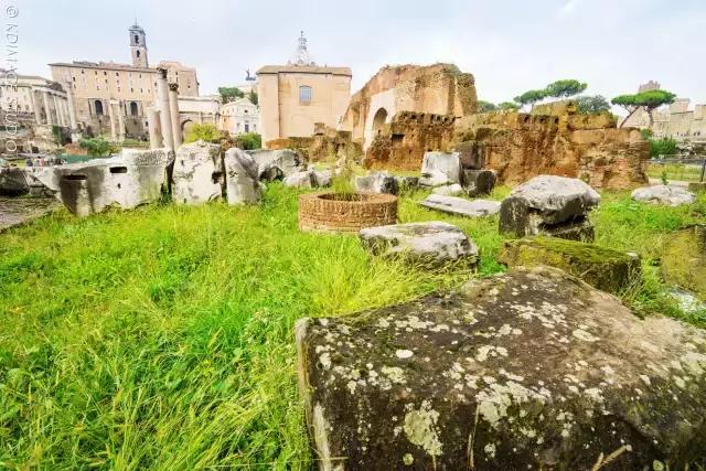 意大利罗马旅行的感受,意大利罗马自由行攻略