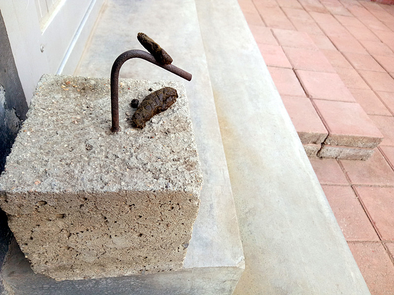 当我抬脚正要进屋时，目光突然被脚下一块顶门砖吸引了！