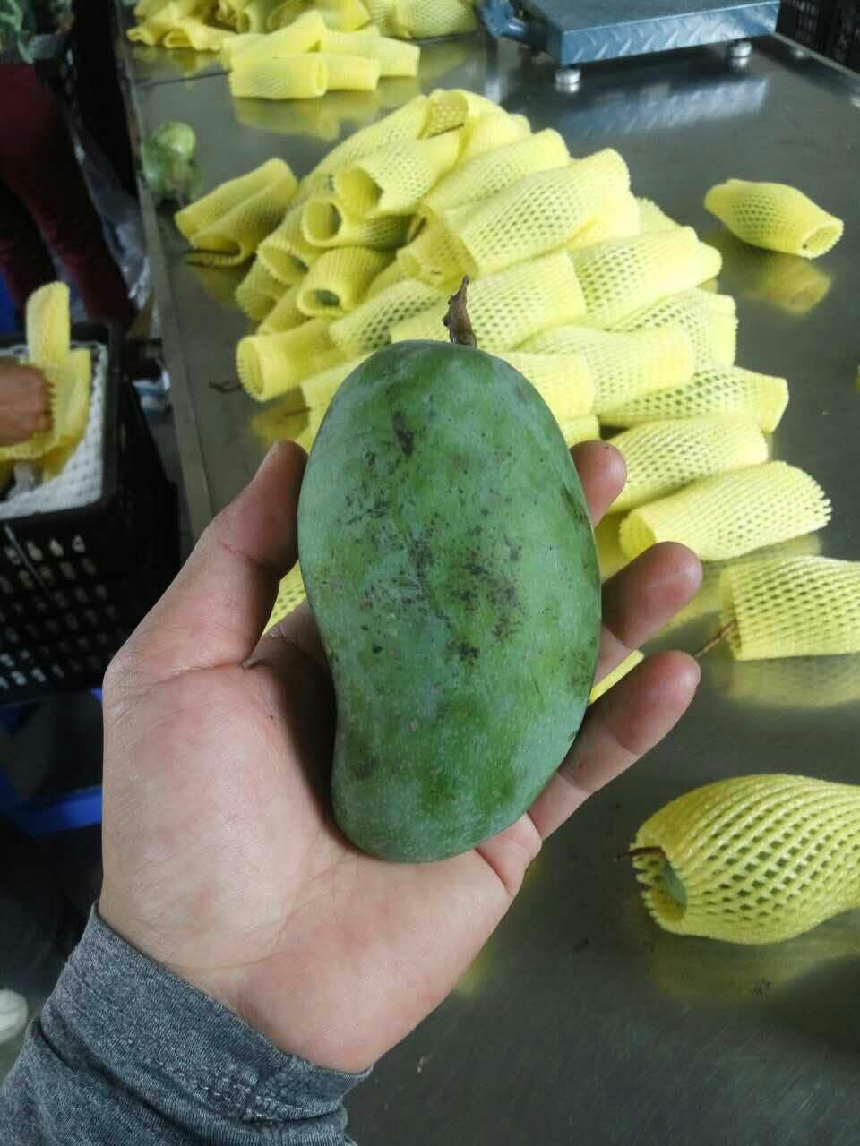 越南大青芒的最佳吃法,越南大青芒的味道