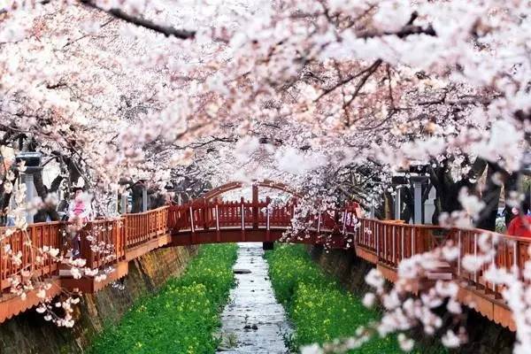 韩国的旅游吸引力,韩国的旅游文化特色