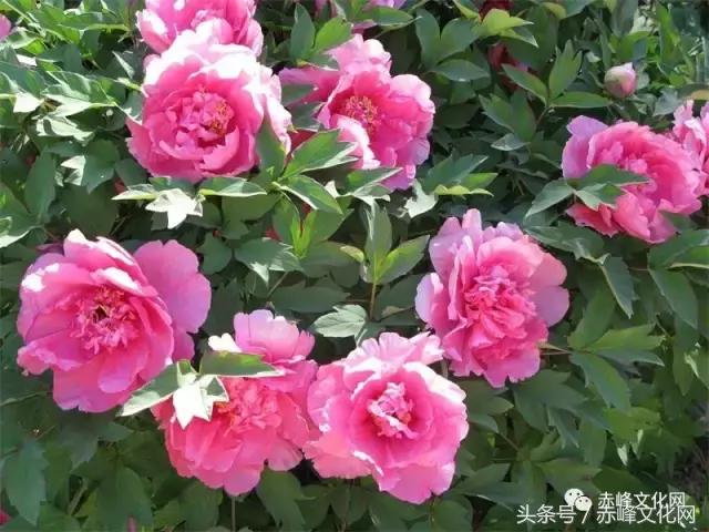 最美的“宁静之城“就在你身边，约吗？