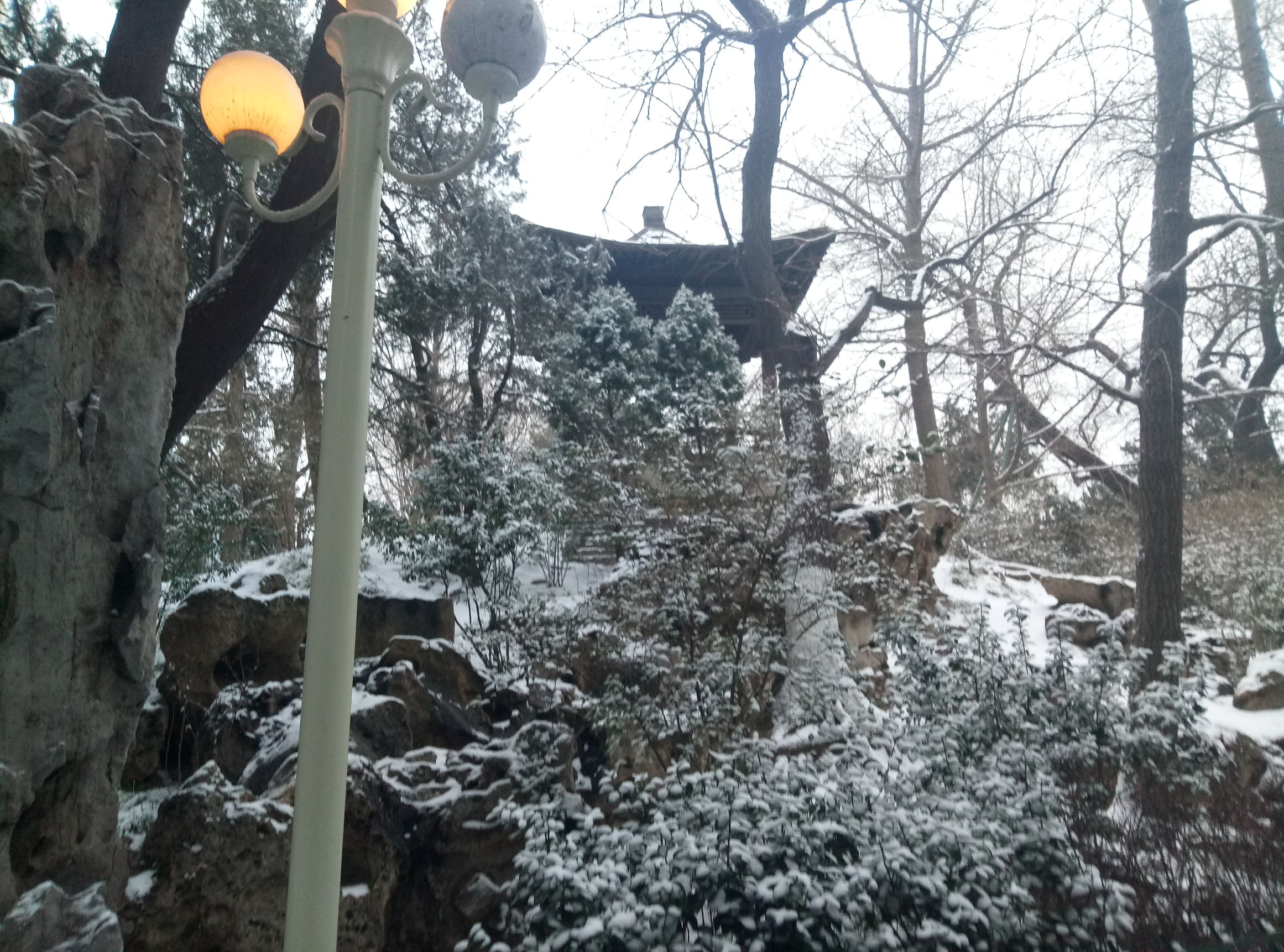 中山公园雪后图片,晚上的中山公园真是美极了