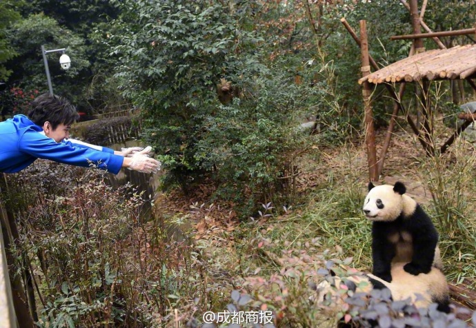 中国十大最火的外国网红,抖音百万网红姐弟抱大腿
