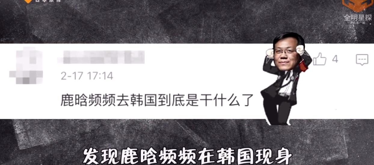 宁愿相信鹿晗频去韩国是代购,也不愿信他倒追前女友