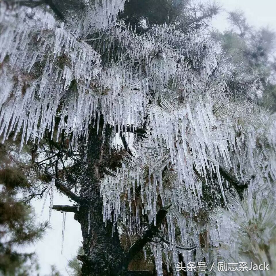 qq多长时间会被收回,qq邮箱长时间不用被收回怎么办