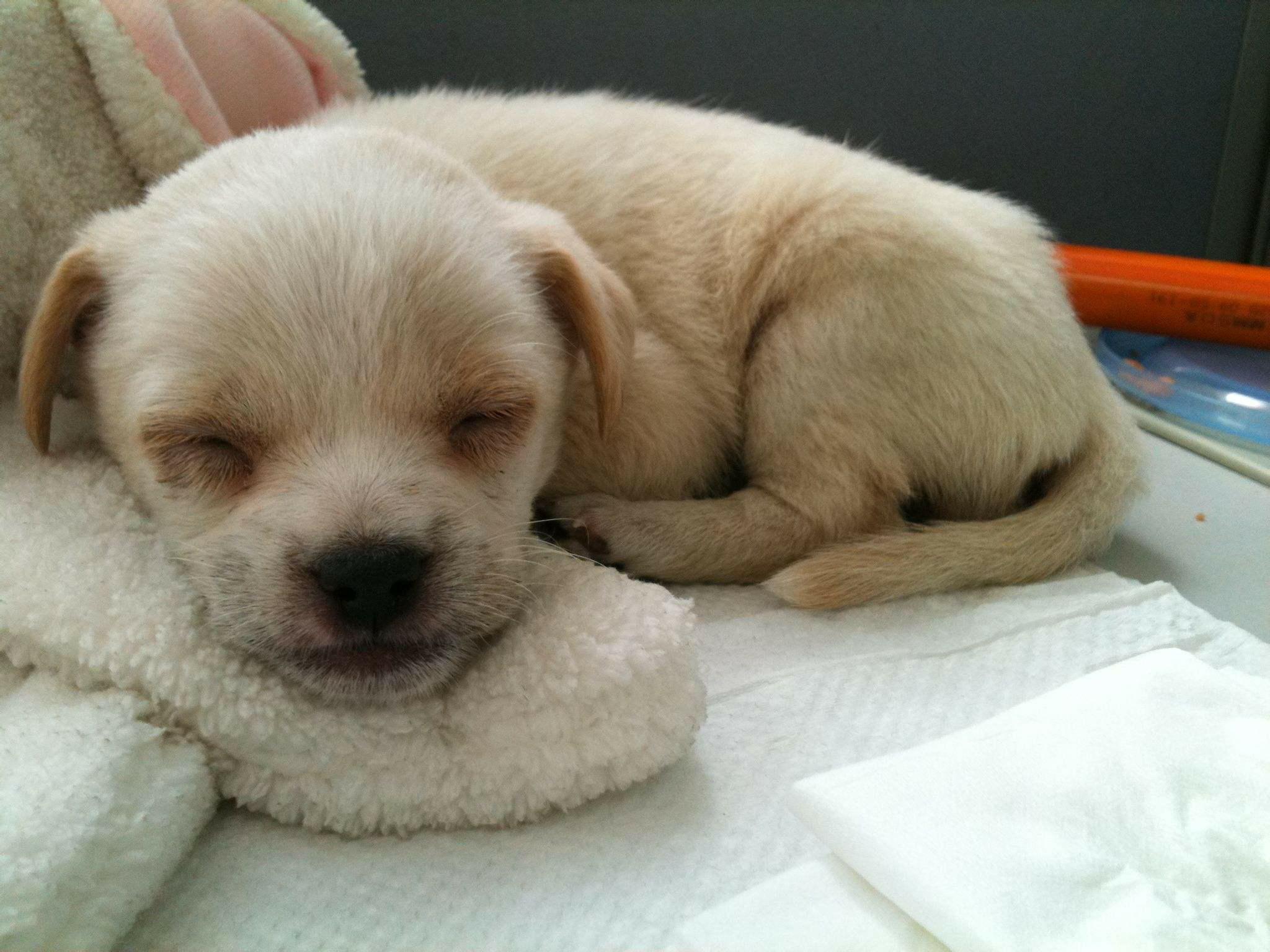 缁欏瀛愬悆杈f缁撴灉瀛╁瓙鍚愯,澶т汉鍠傚皬瀛╁悆杈f缁撴灉灏忓鍚愯