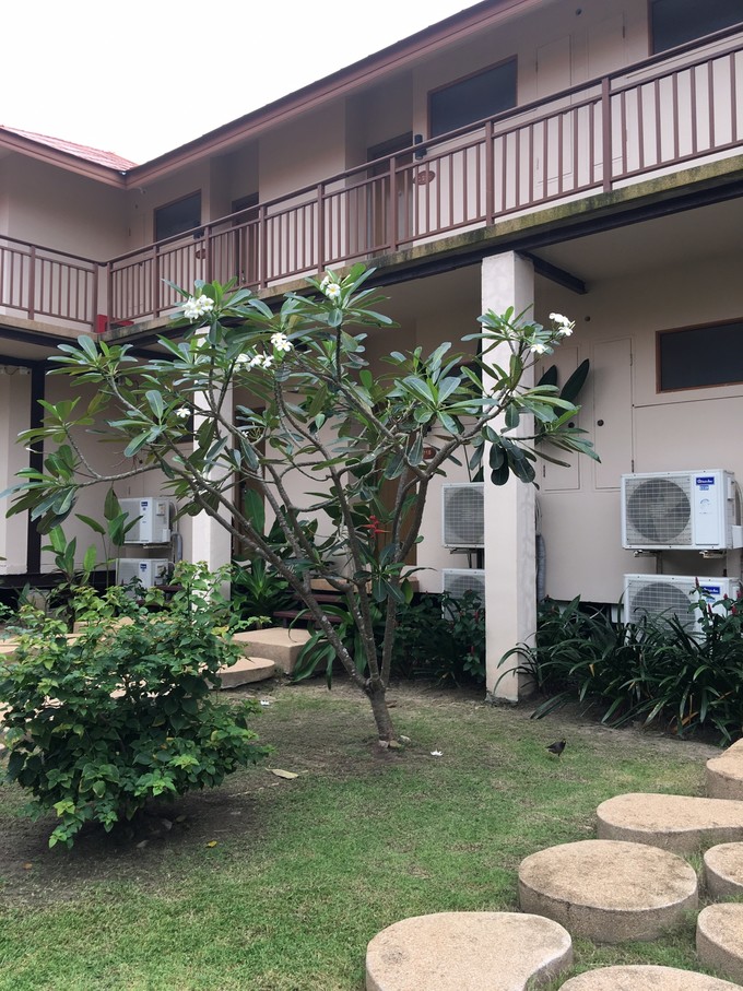 泰国普吉苏梅甲米旅游攻略,泰国游普吉甲米岛六天五晚的报价