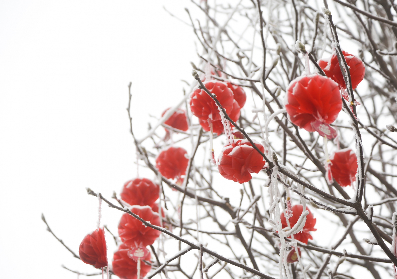 学生党西岭雪山游玩攻略两天一夜,来西岭雪山打卡