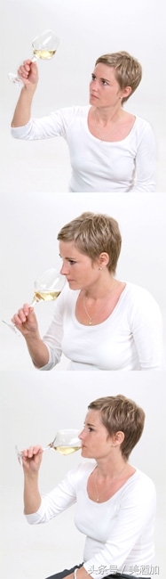 白葡萄酒是白色的吗能喝吗,白葡萄酒为什么是白色