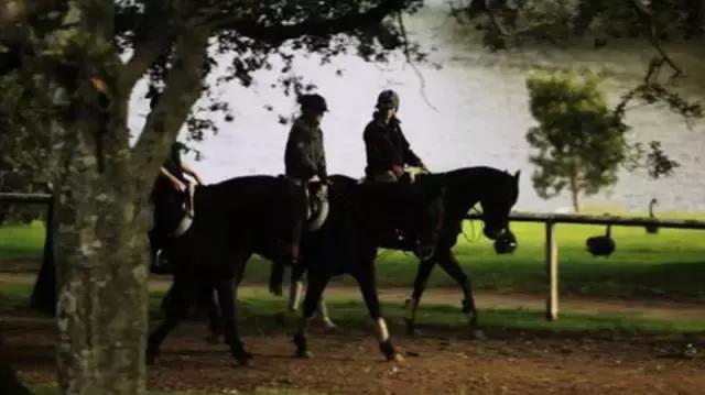 澳洲旅游攻略必带物品清单,澳洲旅游攻略需要花费多少钱