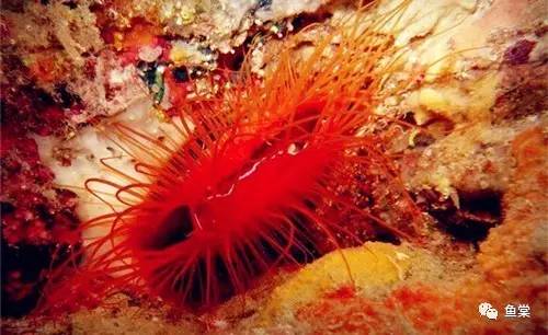 听说关于蛋分，你还在被忽悠？