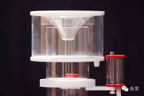 听说关于蛋分，你还在被忽悠？