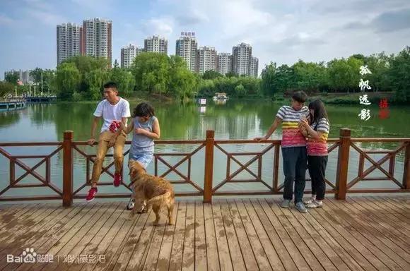 离开邓州?别逗了,五年后的大邓州,你高攀不起!