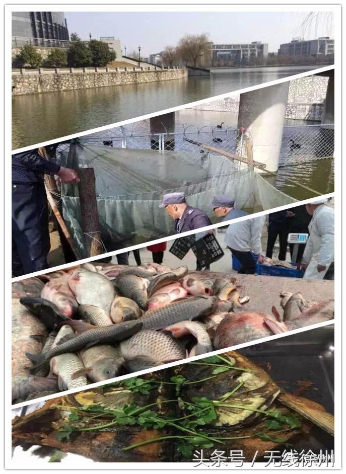 三民街的石板路,名校往事,老政府大院的1924,看徐州这条路