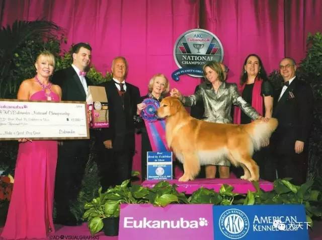 殿堂人物:采访美国金毛领军人物—TonyaStruble