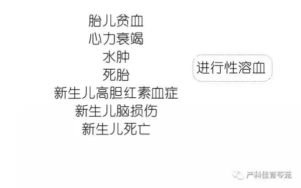 熊猫血女性是不是怀了容易流产,熊猫血的女人是不是很难受孕