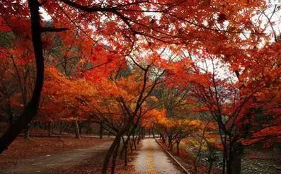 大辽源美景,大辽源视频