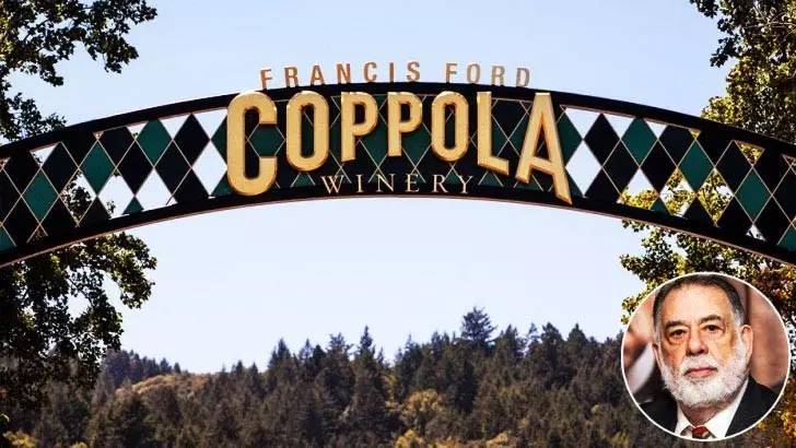 2017年奥斯卡晚宴，世界明星们喝了什么酒？