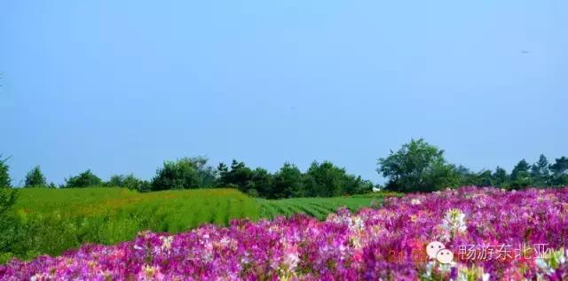 大辽源美景,大辽源视频
