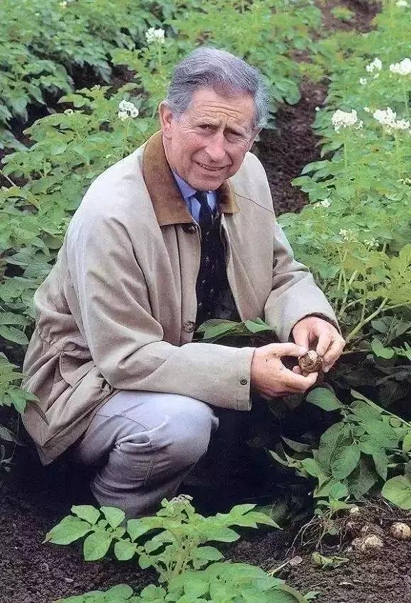 待位64年的王子,花30年将450万㎡荒地打造成世界最美庄园