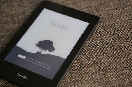 kindle怎么养成阅读习惯,kindle变白板了