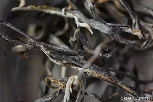 普洱茶鉴赏收藏册,古六大茶山的口感特点