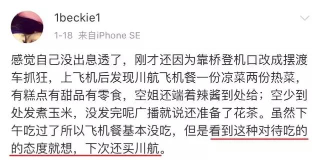 川航最新事件回顾,川航2019飞机迫降事件完整