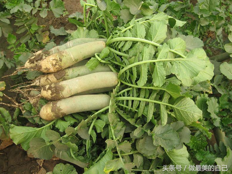 痛风最简单的远离方法,痛风后悔的十大习惯