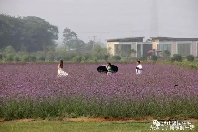 当爱情遇见彩礼你会怎么做,爱情和房子如何抉择