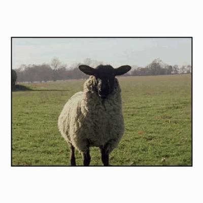 burberry2017春夏时装周,burberry时装周视频