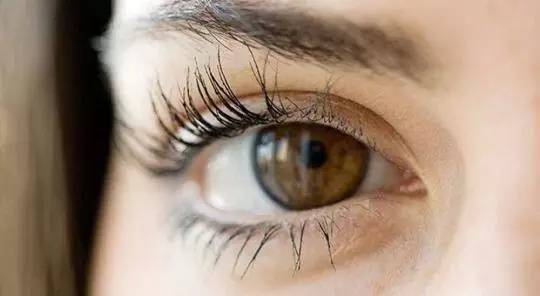 小牌子的睫毛膏哪个好用,同样牌子的睫毛膏价格差那么多