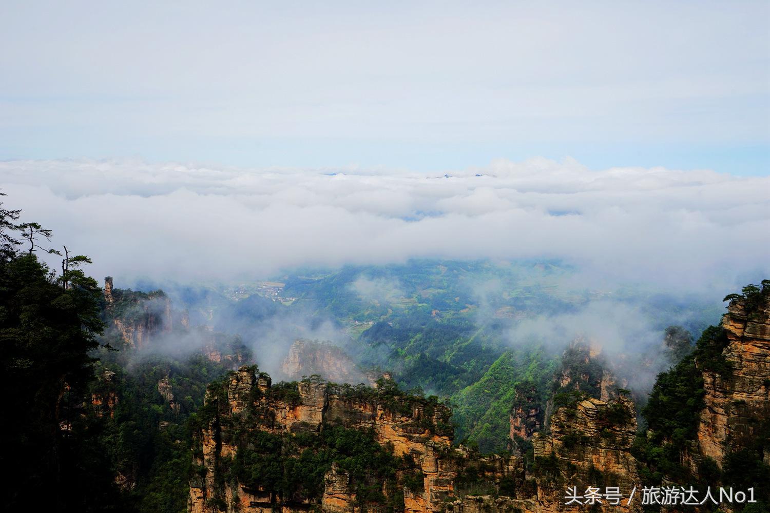 游记张家界8天旅游详细攻略,张家界天门山森林公园美景游记