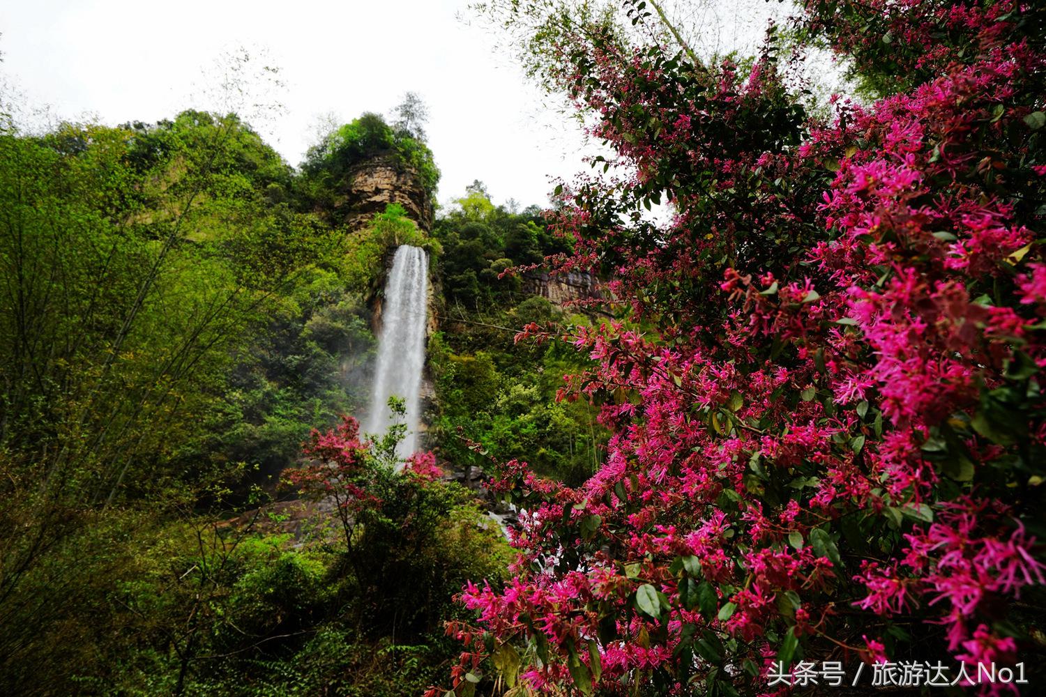 游记张家界8天旅游详细攻略,张家界天门山森林公园美景游记