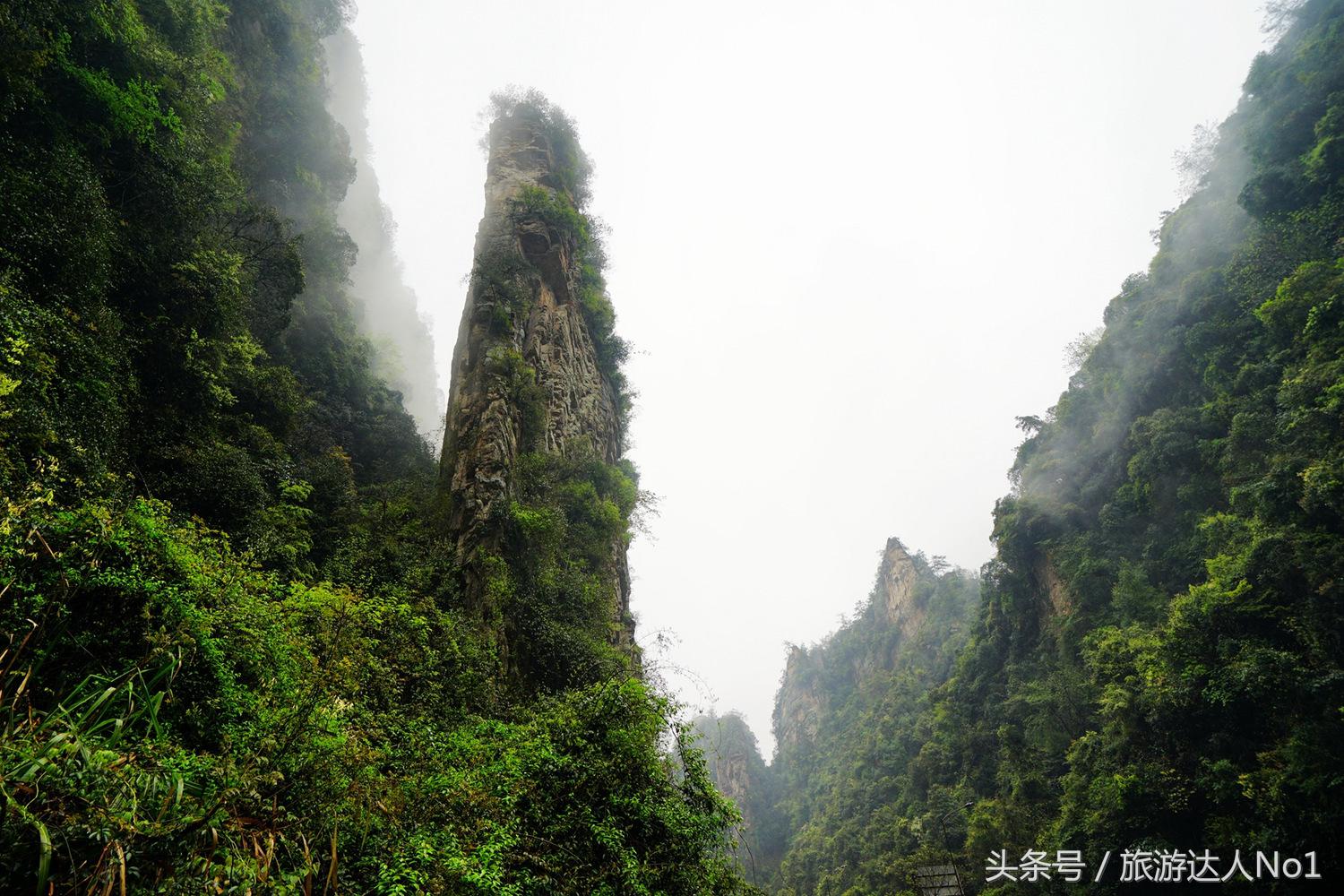游记张家界8天旅游详细攻略,张家界天门山森林公园美景游记
