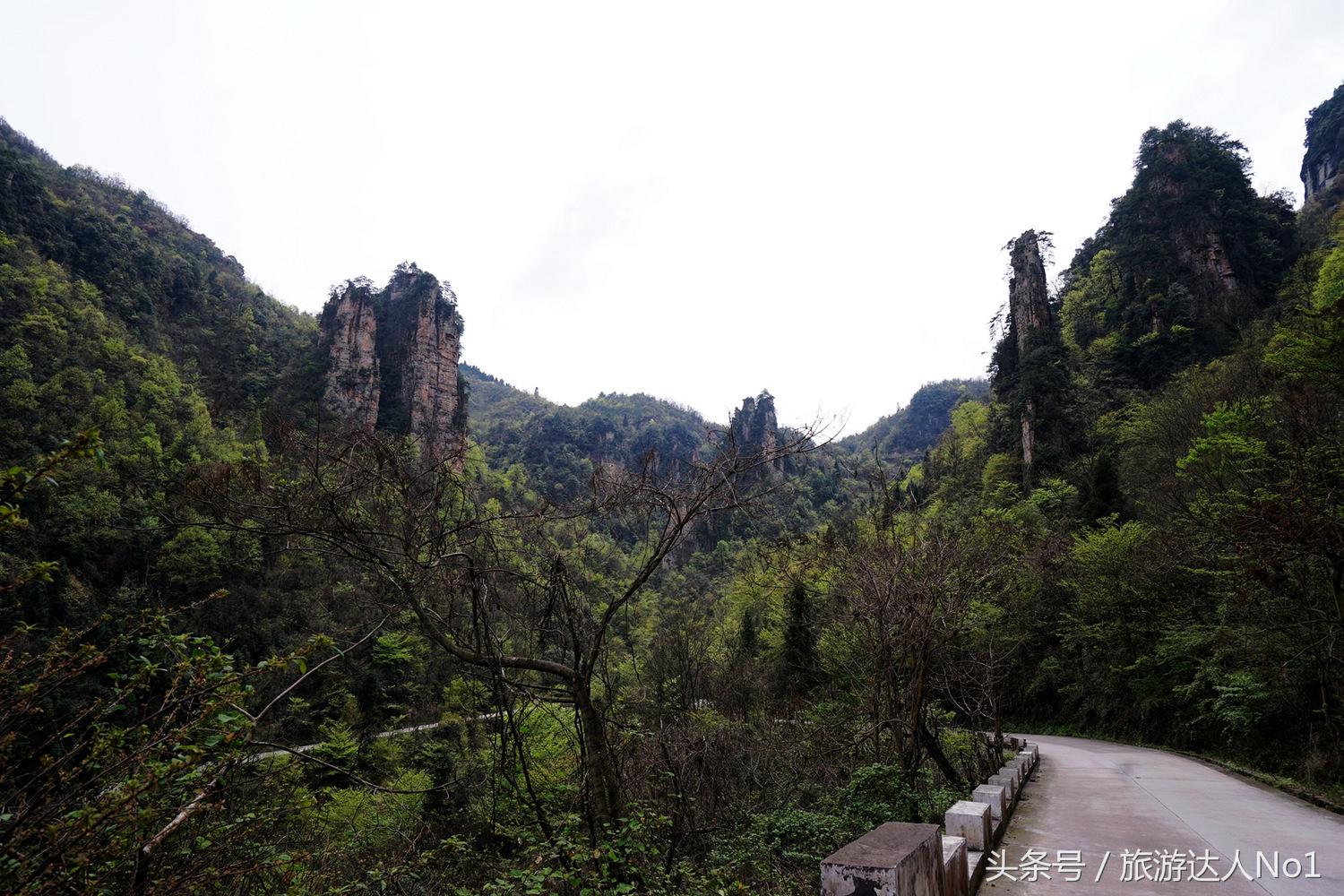游记张家界8天旅游详细攻略,张家界天门山森林公园美景游记