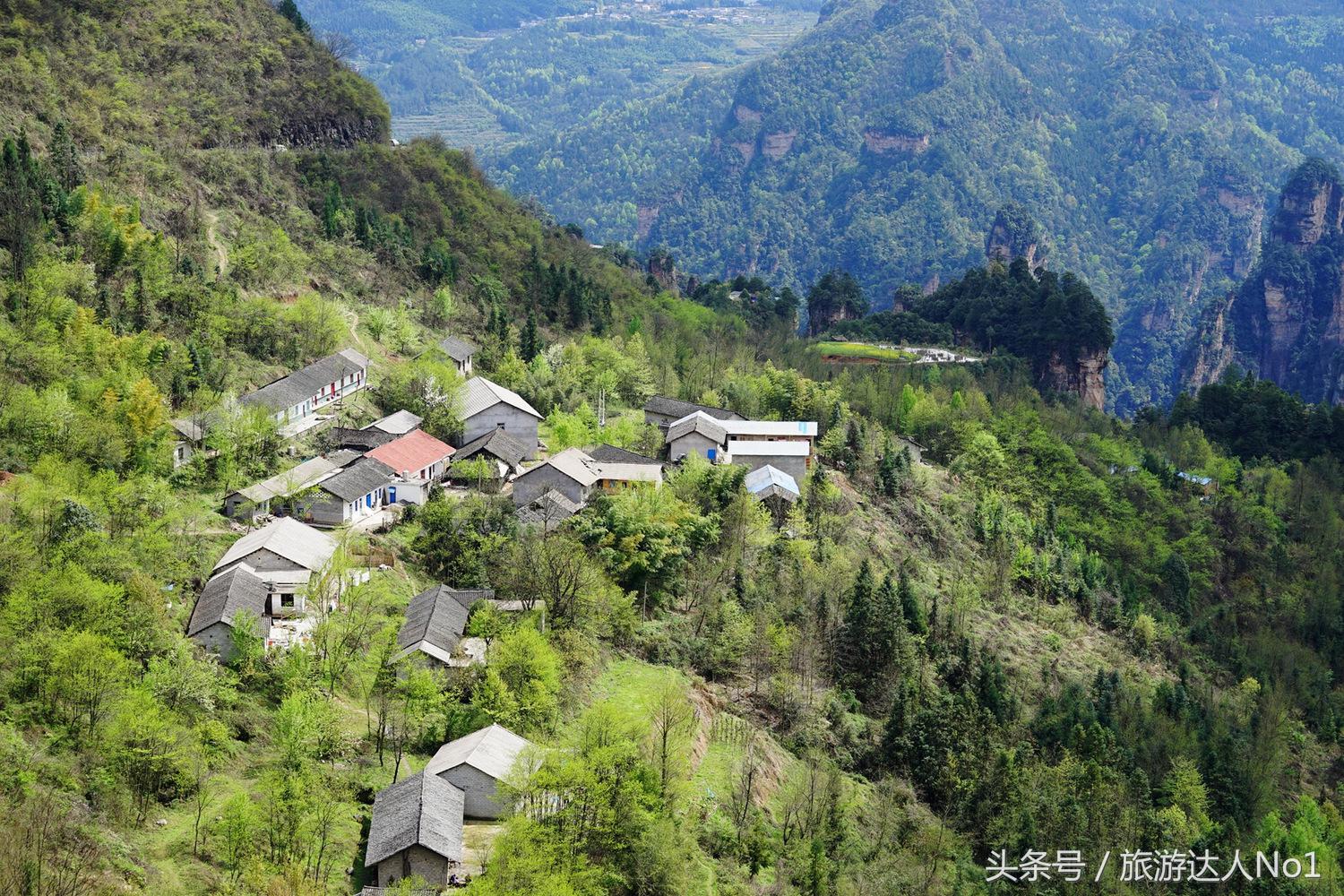游记张家界8天旅游详细攻略,张家界天门山森林公园美景游记