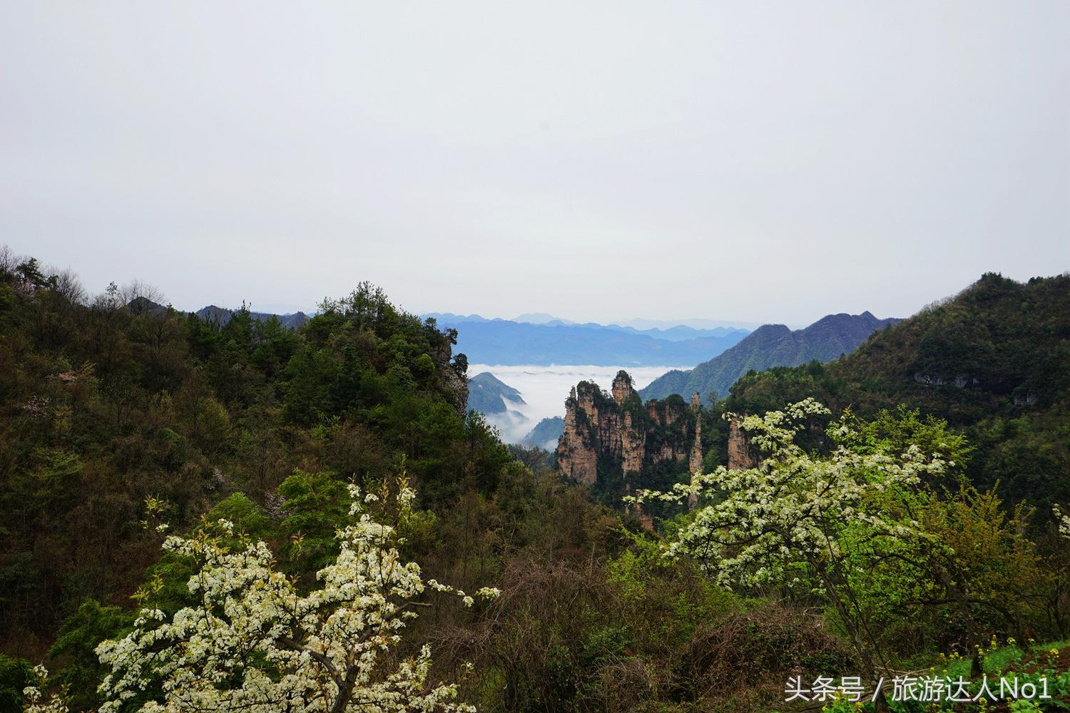 游记张家界8天旅游详细攻略,张家界天门山森林公园美景游记